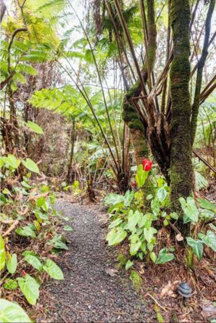 Lodge Hale Kumu La'au- A'a *